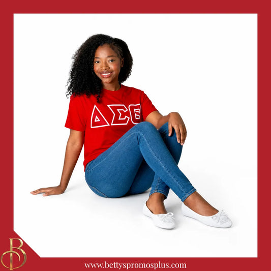 Delta Sigma Theta ΔΣΘ Uninterrupted White Embroidered Ballet Flats with Carrying Case-Delta Sigma Theta Paraphernalia-Delta Sigma Theta Ballet Flats-Betty's Promos Plus