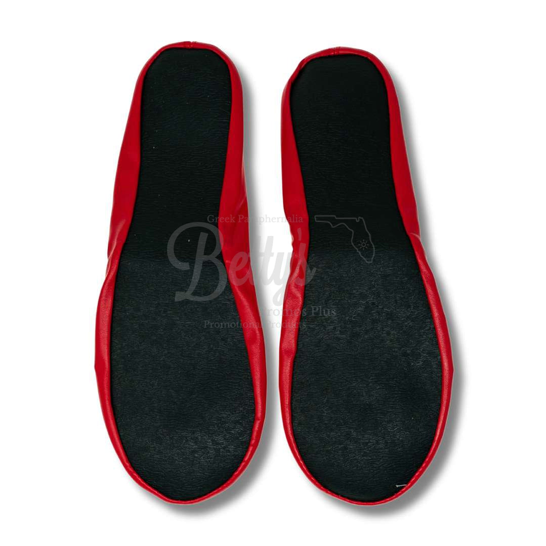 Delta Sigma Theta ΔΣΘ Printed Ballet Flats, Shoes, Ballet Slipper Flats, Foldable Flats with Carrying Case-Betty's Promos Plus Greek Paraphernalia