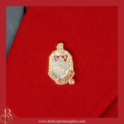 Delta Sigma Theta ΔΣΘ 3D Color Shield Greek Sorority Lapel Pin-Delta Sigma Theta Paraphernalia-Delta Sigma Theta Lapel Pin-Betty's Promos Plus