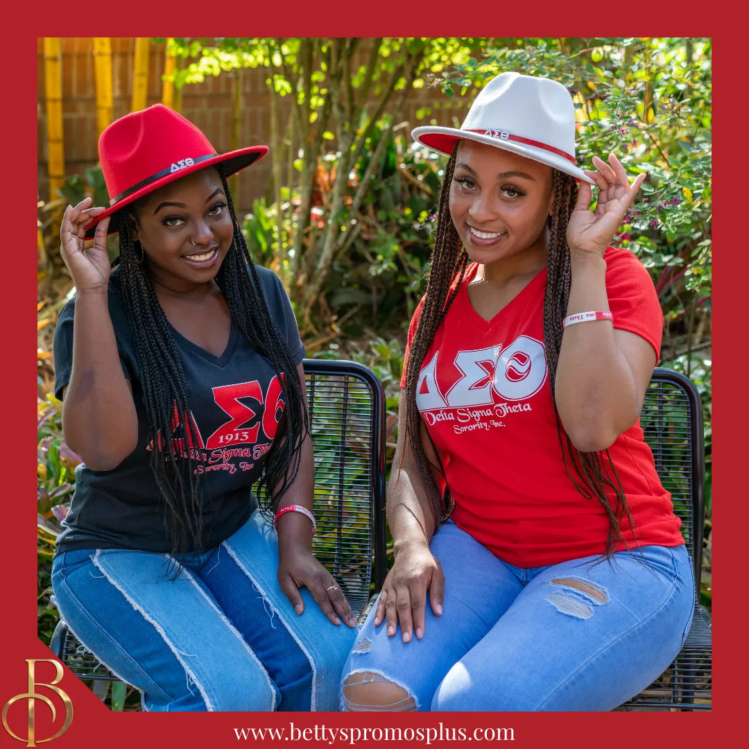 Delta Sigma Theta ΔΣΘ Greek Letters Screen Printed V-Neck T-Shirt-Delta Sigma Theta Paraphernalia-Delta Sigma Theta T-Shirts-Betty's Promos Plus