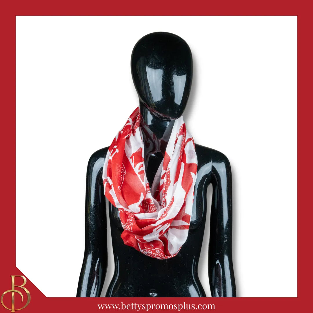 Delta Sigma Theta ΔΣΘ Infinity Scarf-Delta Sigma Theta Paraphernalia-Delta Sigma Theta Scarves-Betty's Promos Plus
