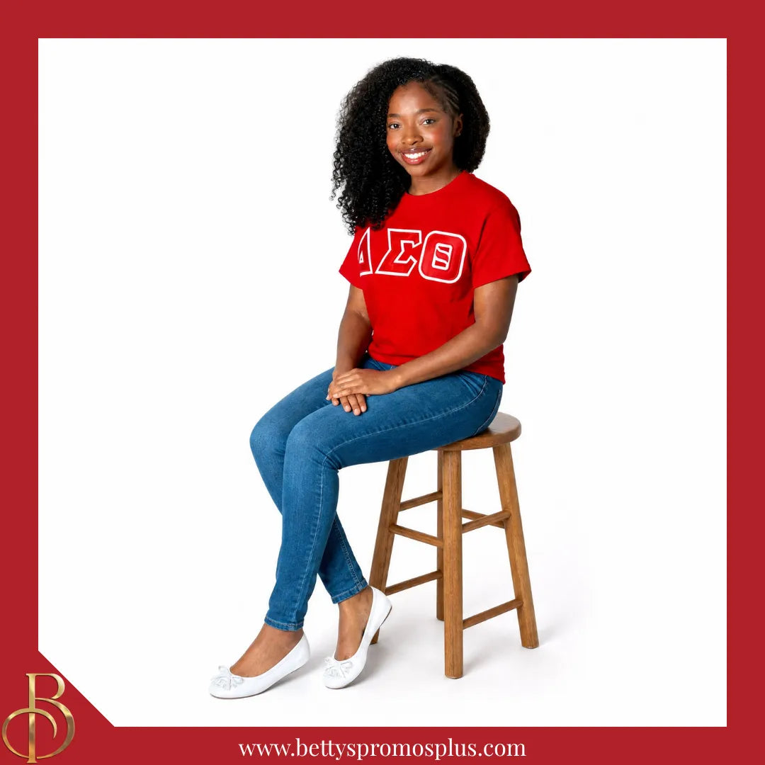 Delta Sigma Theta ΔΣΘ Uninterrupted White Embroidered Ballet Flats with Carrying Case-Delta Sigma Theta Paraphernalia-Delta Sigma Theta Ballet Flats-Betty's Promos Plus