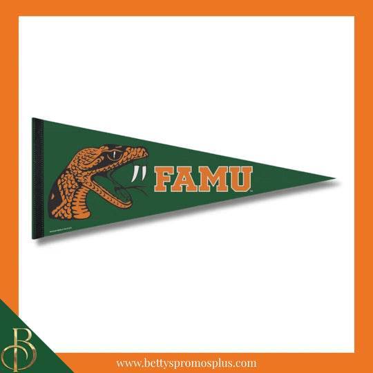 Florida A&M FAMU Rattlers 12x30