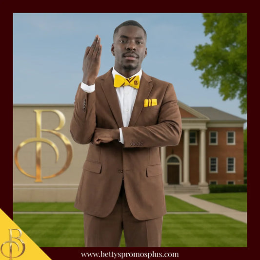 Iota Phi Theta ΙΦΘ Bow Tie and Pocket Square Combo-Iota Phi Theta Paraphernalia-Iota Phi Theta Tie Set-Betty's Promos Plus
