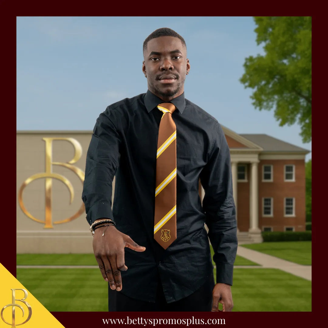 Iota Phi Theta ΙΦΘ Tie and Pocket Square Combo-Iota Phi Theta Paraphernalia-Iota Phi Theta Tie Set-Betty's Promos Plus