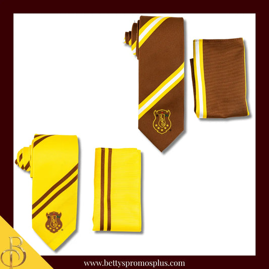 Iota Phi Theta ΙΦΘ Tie and Pocket Square Combo-Iota Phi Theta Paraphernalia-Iota Phi Theta Tie Set-Betty's Promos Plus