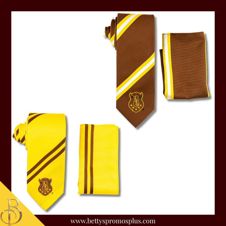 Iota Phi Theta ΙΦΘ Tie and Pocket Square Combo