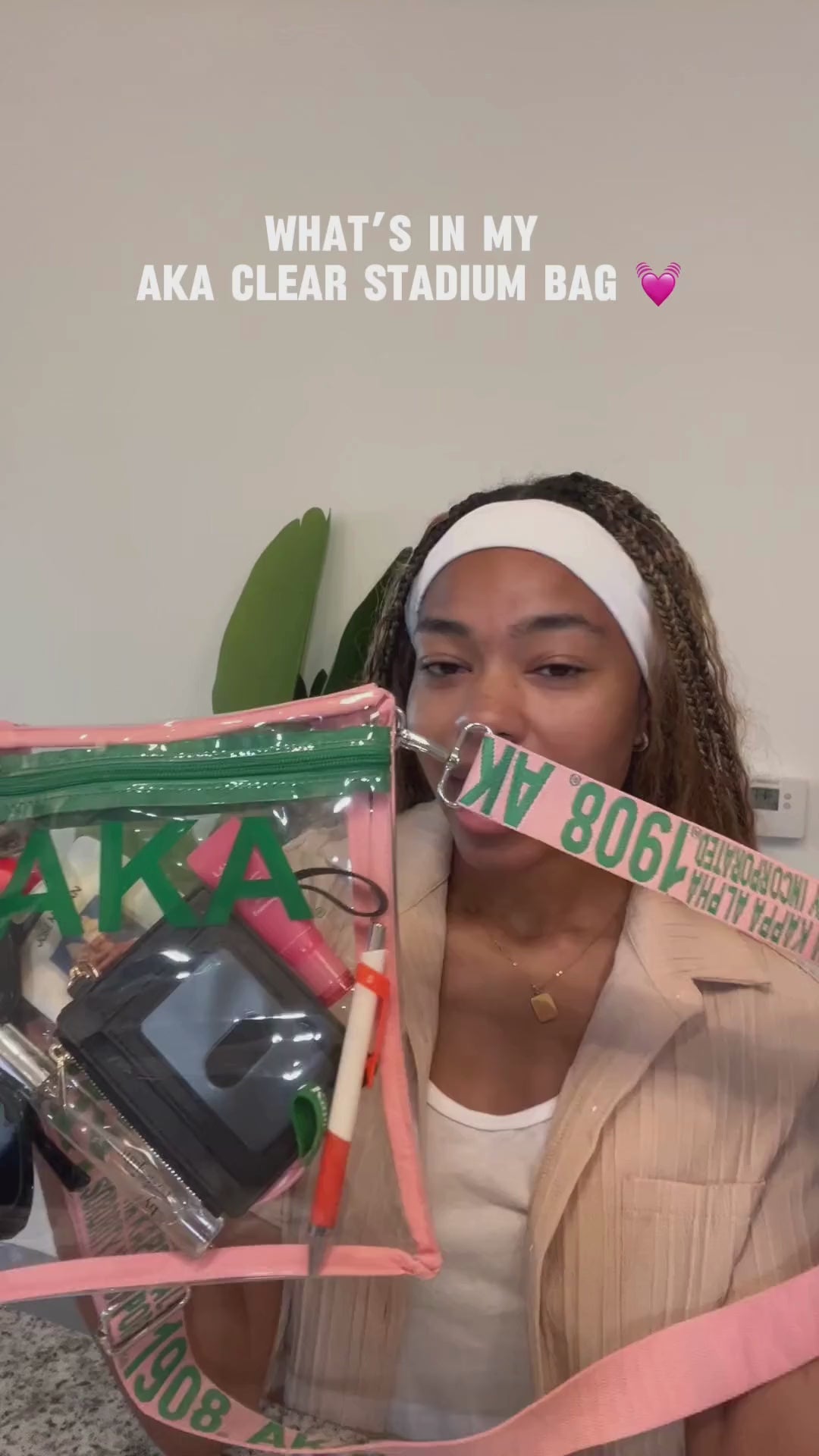 Alpha Kappa Alpha AKA Cross Body Clear Stadium Bag