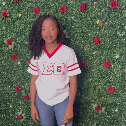 Delta Sigma Theta ΔΣΘ Clacking Accordion Handheld Fan