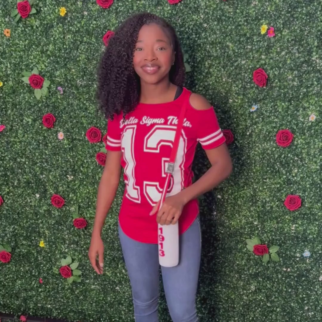 Delta Sigma Theta ΔΣΘ Stainless Steel Water Bottle with Flip Top