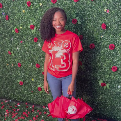 Delta Sigma Theta ΔΣΘ Shield Hurricane Umbrella