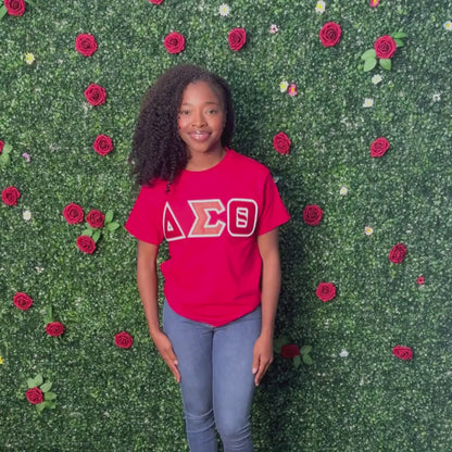 Delta Sigma Theta ΔΣΘ Double Stitched Appliqué Embroidered Line T-Shirt
