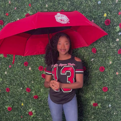 Delta Sigma Theta ΔΣΘ Shield Hurricane Umbrella