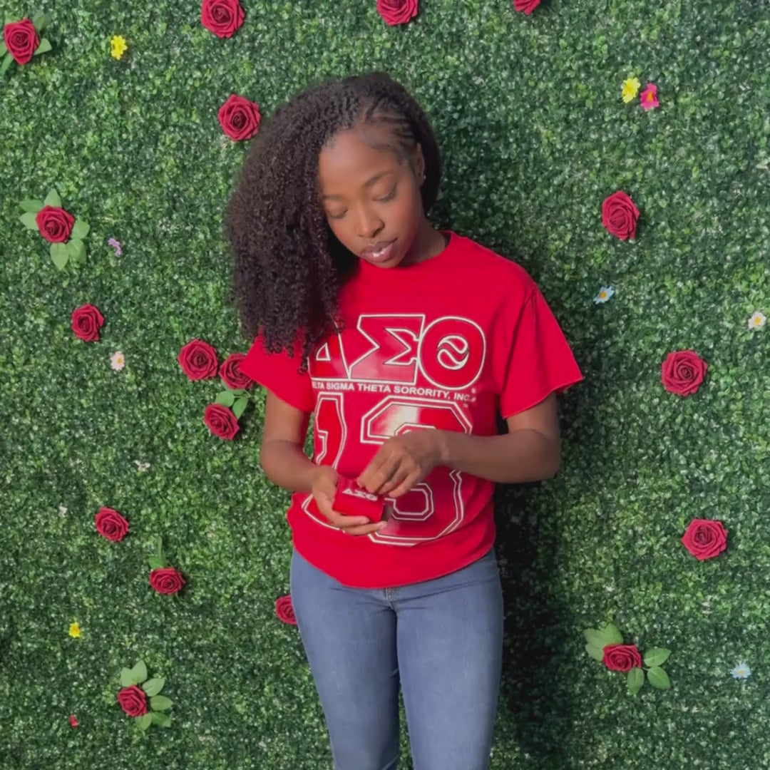 Delta Sigma Theta ΔΣΘ Lipstick Holder Travel Lipstick Case Dual Lip Balm Holder