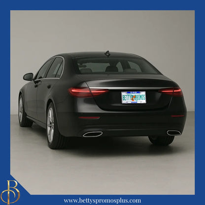 Zeta Phi Beta ΖΦΒ 1920 Chrome Laser Engraved Mirrored Acrylic Auto Tag License Plate Frame-Zeta Phi Beta Paraphernalia-Zeta Phi Beta Auto Tag Frame-Betty's Promos Plus